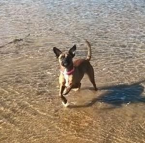 Meet your Posher, Dalton